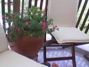 Terrasse / Balkon 'Mein Blumen'