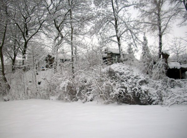 Garten 'Winterlandschaft'