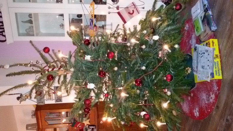 Unser Weihnachtsbaum 2015.