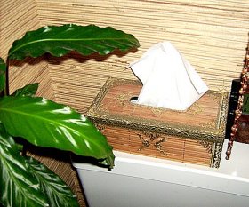 Tipp & Trick 'Kleenexbox aus Bambus'