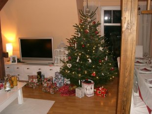 Skandinavisch 'Weihnachten 2008'